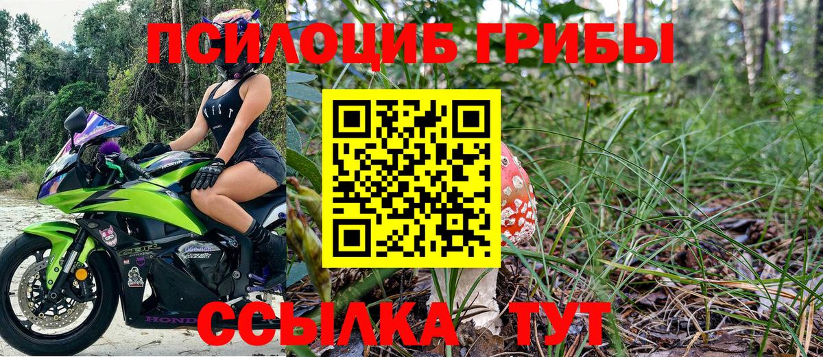 Псилоцибиновые грибы Cubensis  Вход с VPN  Псилоцибиновые грибы Psilocybe  Алейск 